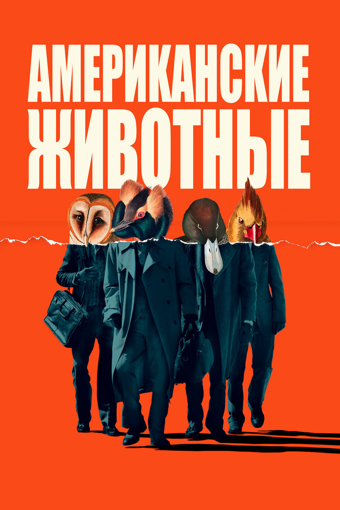 Постер: Американские животные (2018)
