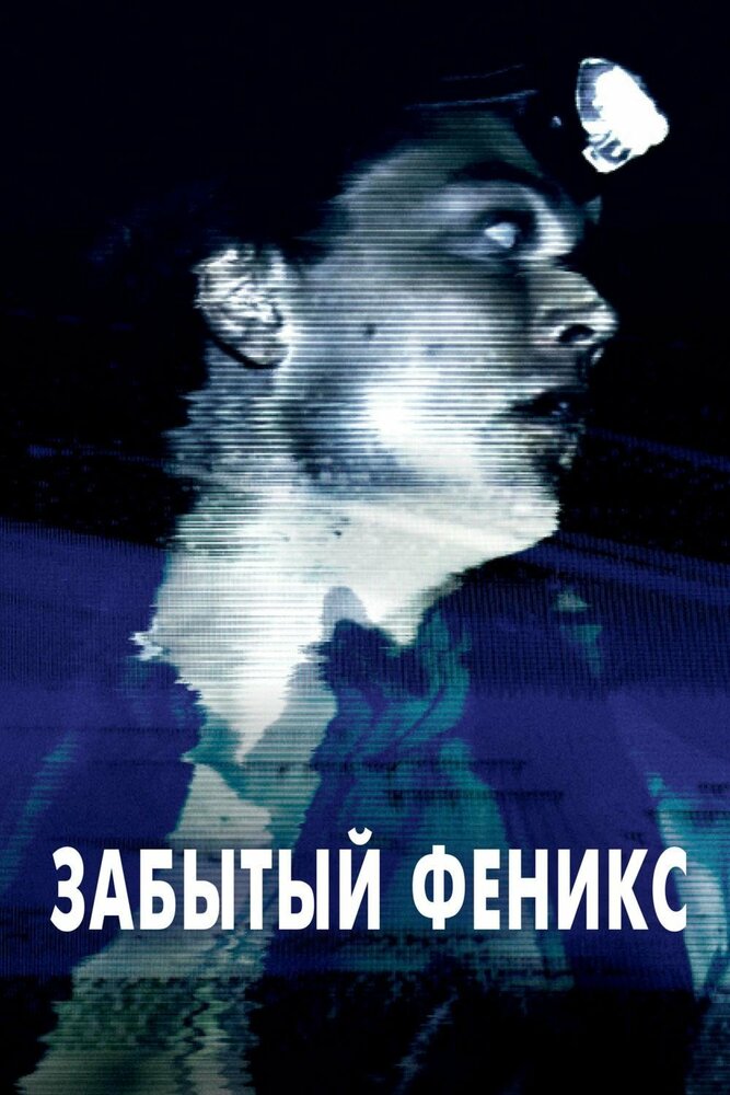 Постер: Забытый Феникс (2017)