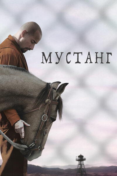 Постер «Мустанг» (2019)