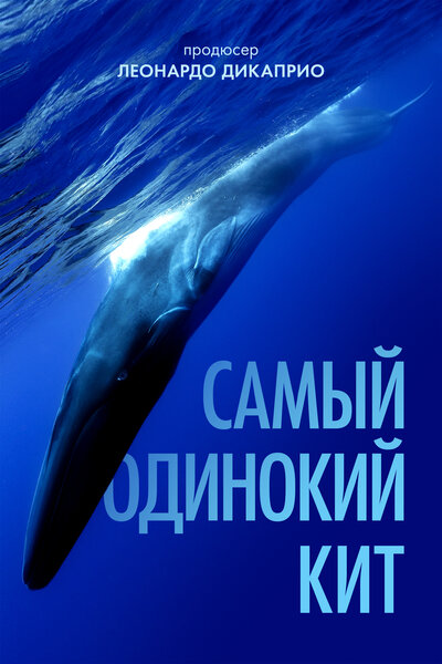 Постер «Самый одинокий кит на планете: в поисках Пятидесятидвухгерцового кита» (2021)