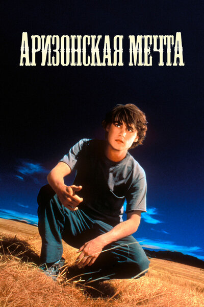 Постер «Аризонская мечта» (1991)