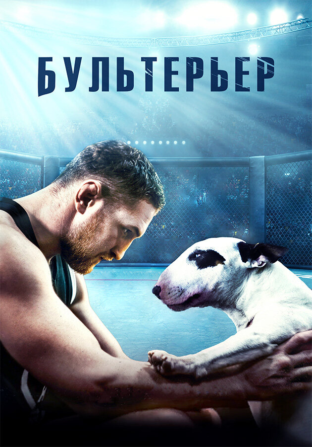 Постер: Бультерьер (2021)