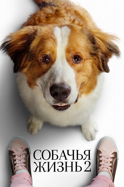 Постер «Собачья жизнь 2» (2019)