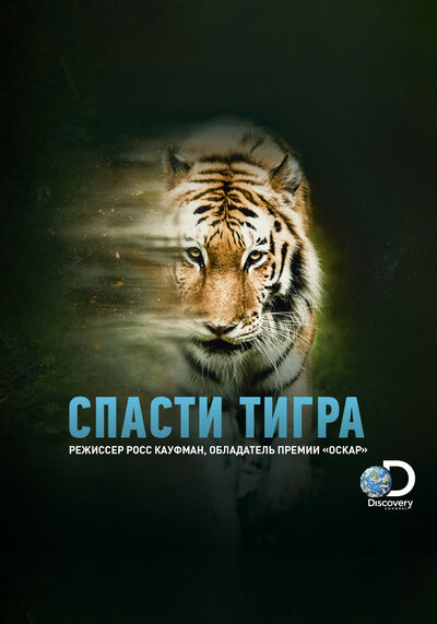 Постер «Спасти тигра» (2019)