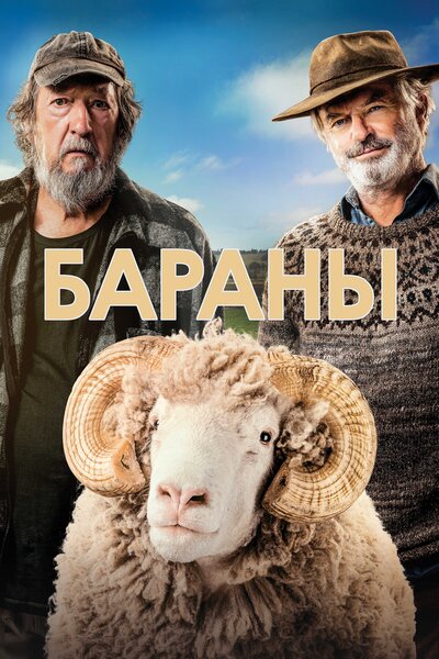 Постер «Бараны» (2020)