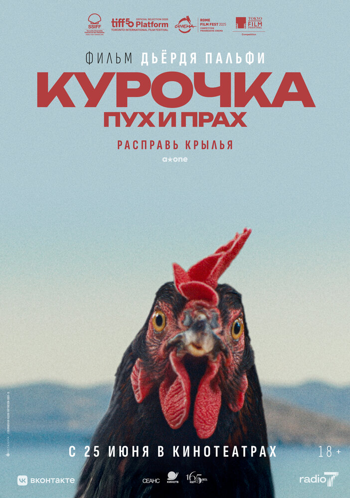 Постер: Курочка. Пух и прах (2025)