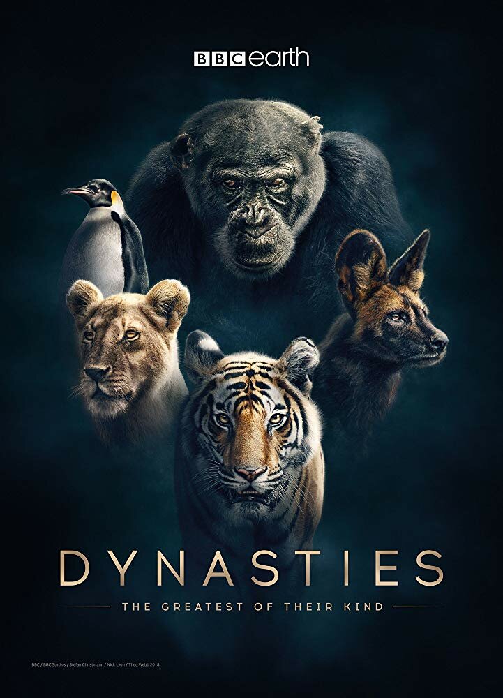 Постер: Династии (2018)
