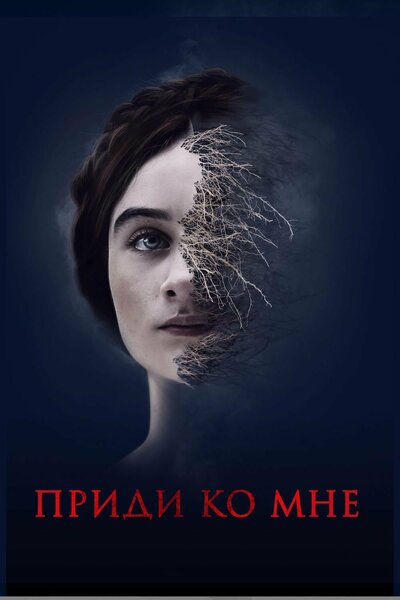 Постер «Приди ко мне» (2019)