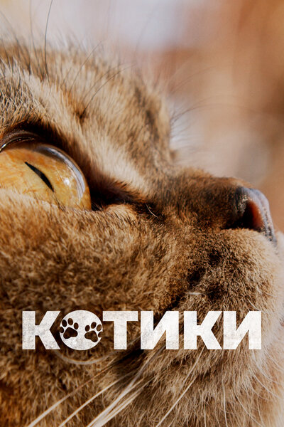 Постер «Котики» (2022)