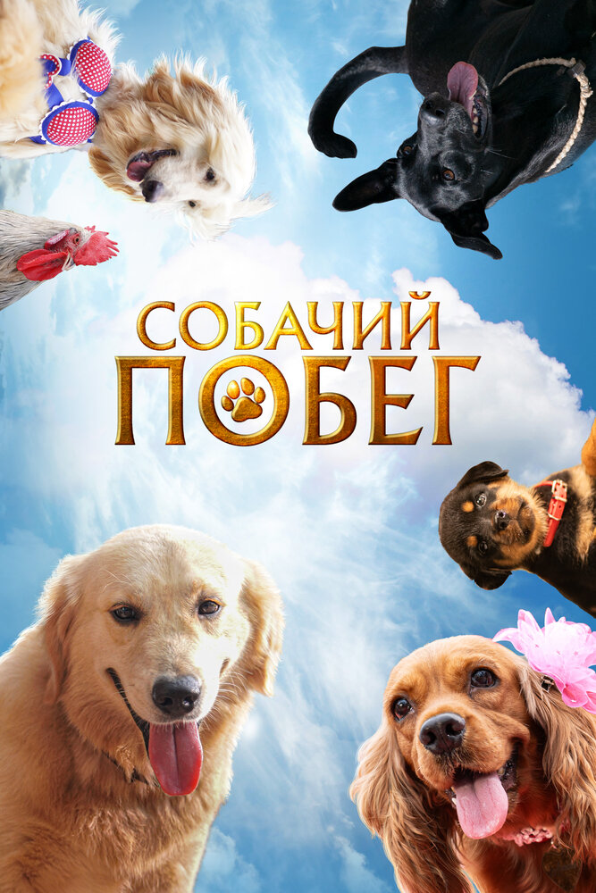 Постер: Собачий побег (2023)