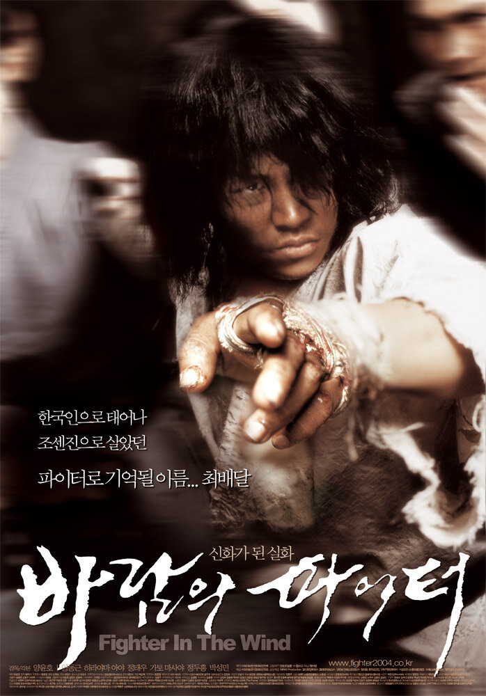 Постер: Воин ветра (2004)