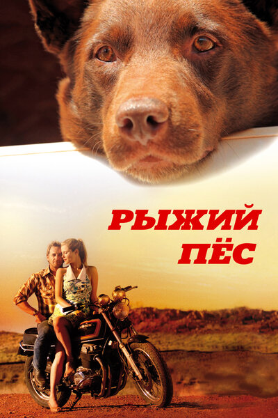 Постер «Рыжий пес» (2011)