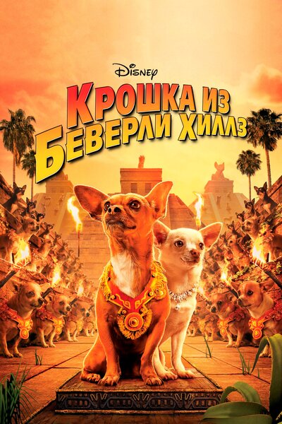 Постер «Крошка из Беверли-Хиллз» (2008)