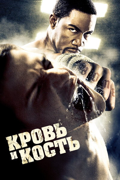 Постер «Кровь и кость» (2009)