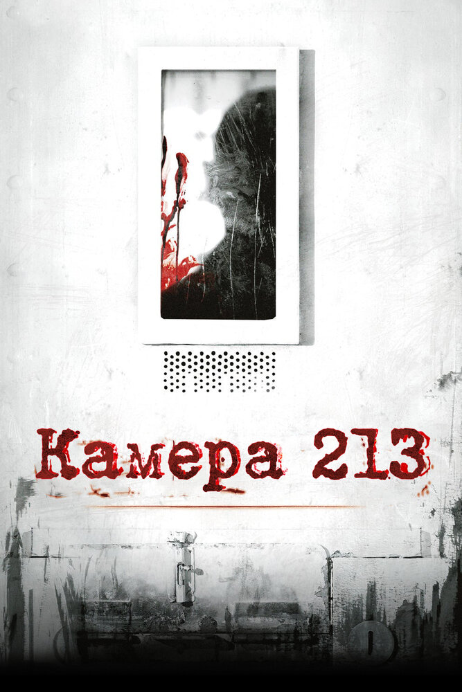 Постер: Камера 213 (2011)