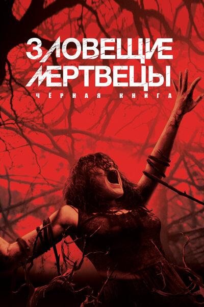 Постер «Зловещие мертвецы: Черная книга» (2013)