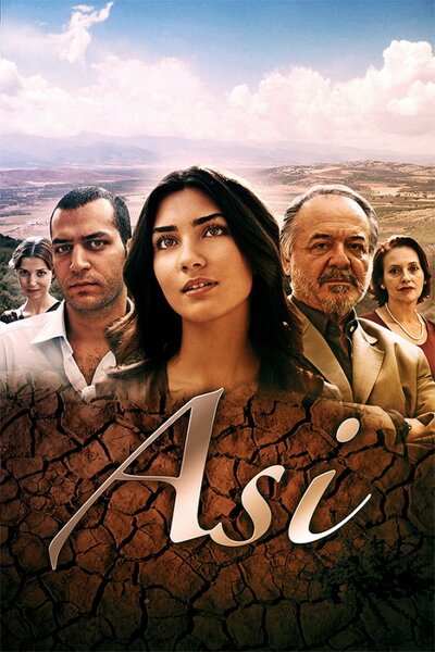 Постер «Аси» (2007)