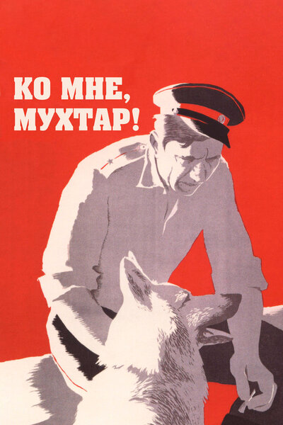 Постер «Ко мне, Мухтар!» (1964)