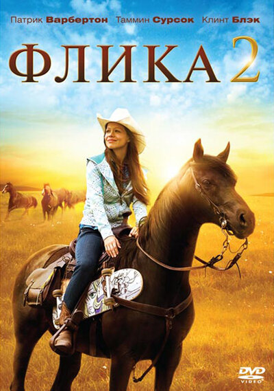 Постер «Флика 2» (2010)