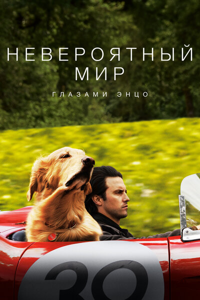 Постер «Невероятный мир глазами Энцо» (2019)