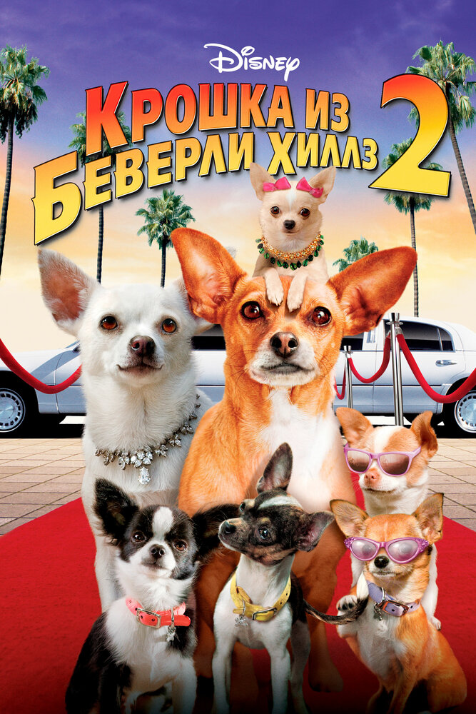 Постер: Крошка из Беверли-Хиллз 2 (2010)