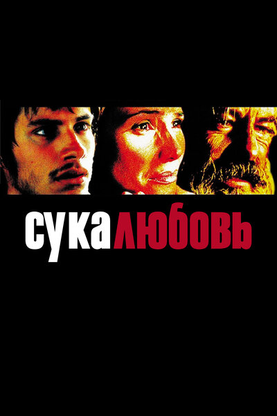 Постер «Сука-любовь» (2000)