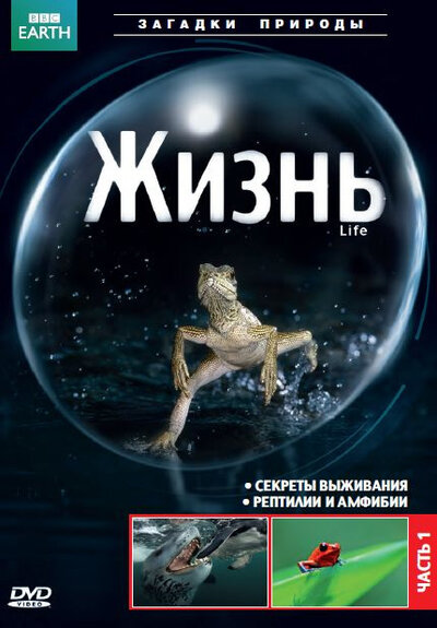 Постер «BBC: Жизнь» (2009)