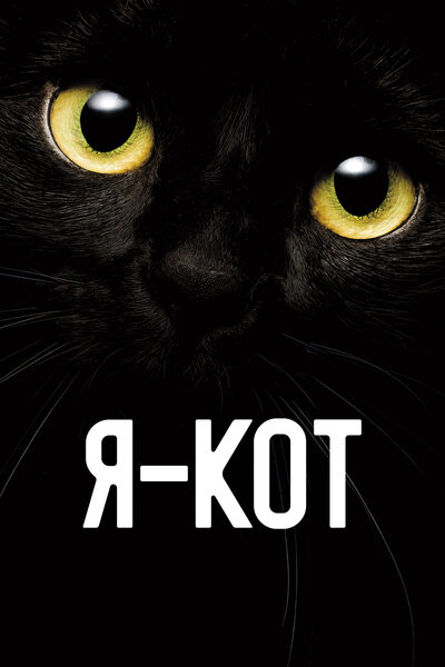 Постер «Я — кот» (2023)