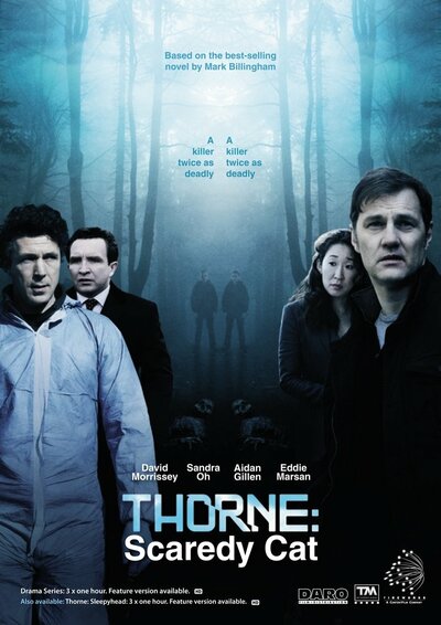 Постер «Торн: Пуганая ворона» (2010)