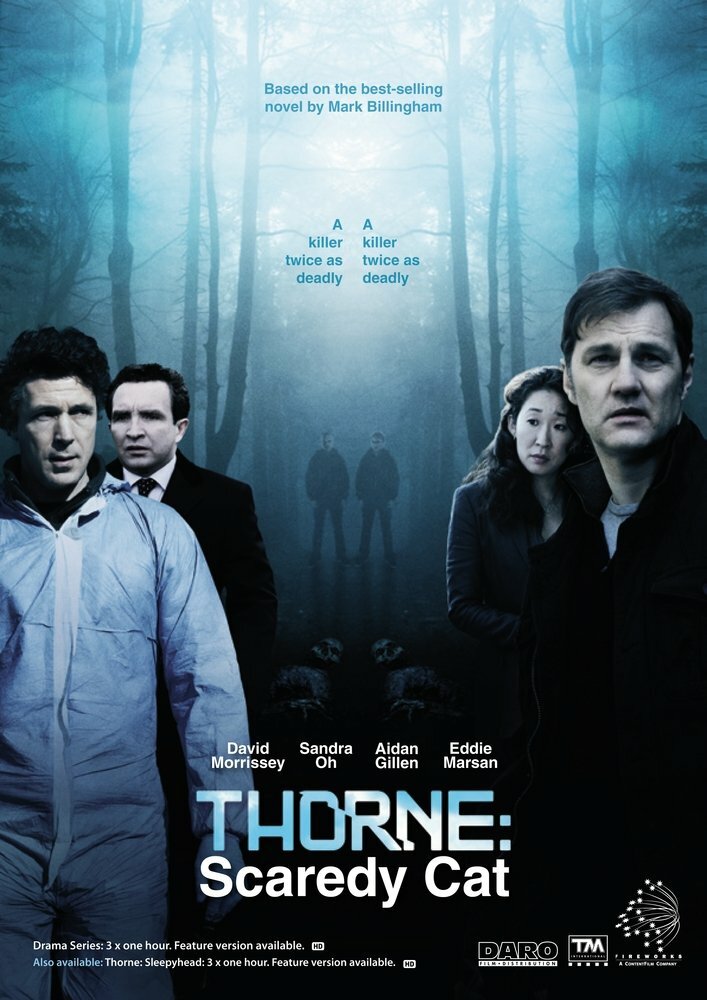 Постер: Торн: Пуганая ворона (2010)