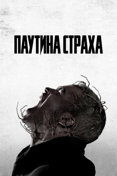 Постер «Паутина страха» (2023)