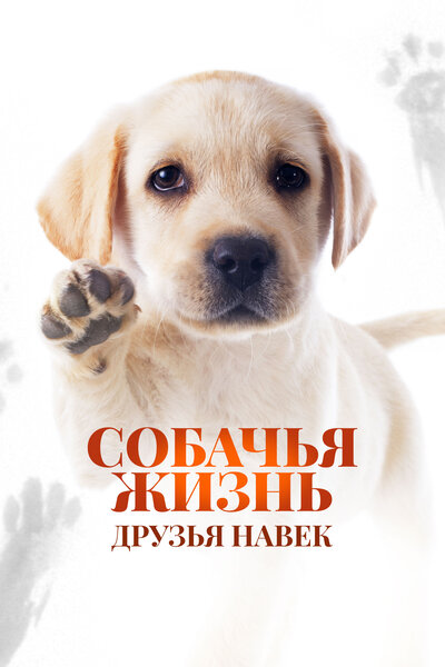 Постер «Собачья жизнь: Друзья навек (2023)» (2023)