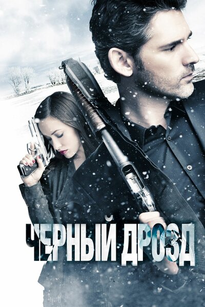 Постер «Черный дрозд» (2011)