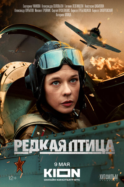 Постер «Редкая птица» (2024)