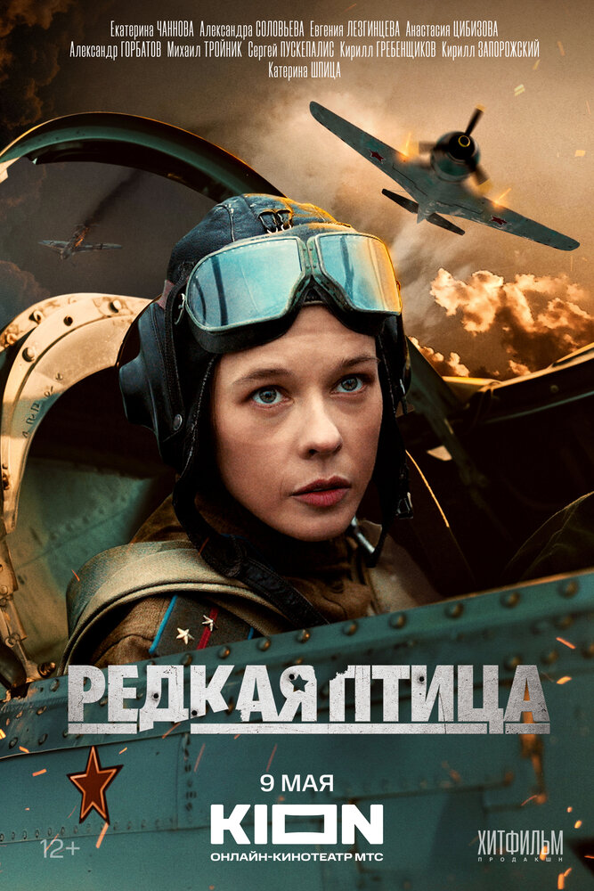 Постер: Редкая птица (2024)