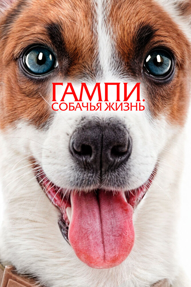 Постер: Невероятные приключения Гампи 2 (2024)
