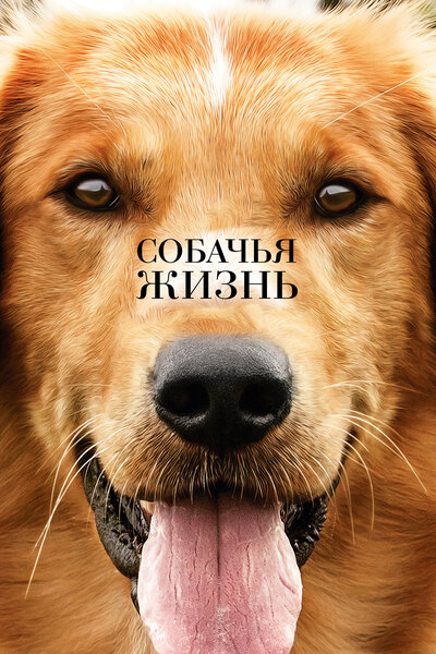 Постер «Собачья жизнь» (2017)