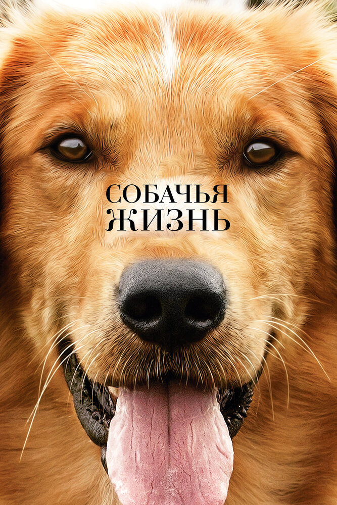 Постер: Собачья жизнь (2017)