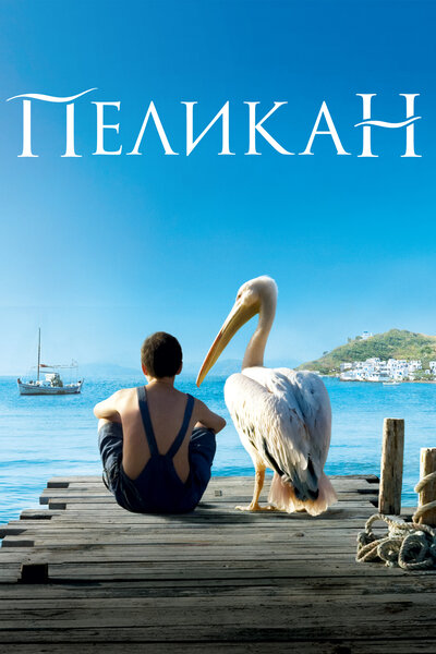 Постер «Пеликан» (2011)