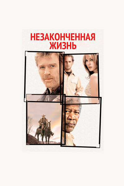Постер «Незаконченная жизнь» (2004)