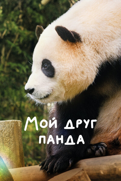 Постер «Мой друг панда» (2024)