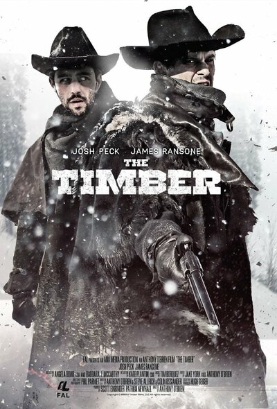 Постер «Достоинство» (2015)
