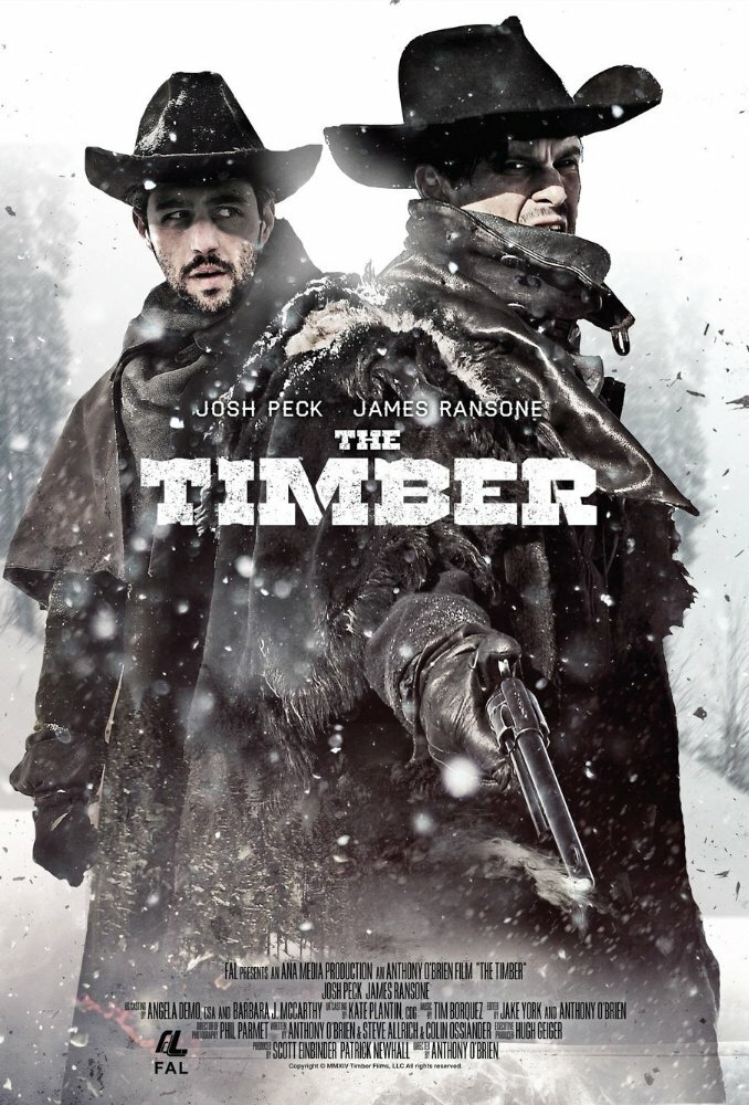 Постер: Достоинство (2015)