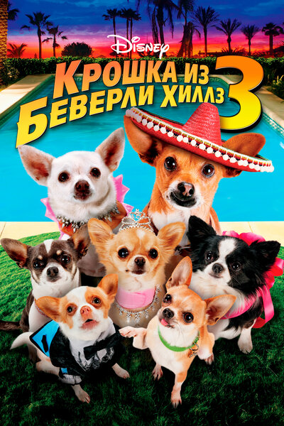 Постер «Крошка из Беверли-Хиллз 3» (2012)