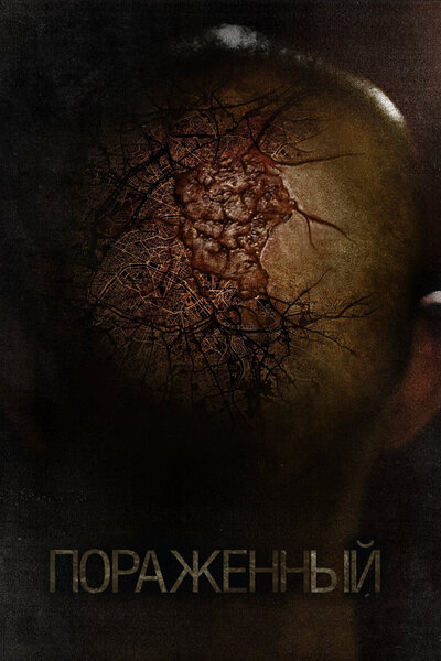 Постер «Пораженный» (2013)