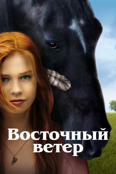 Постер «Восточный ветер» (2013)