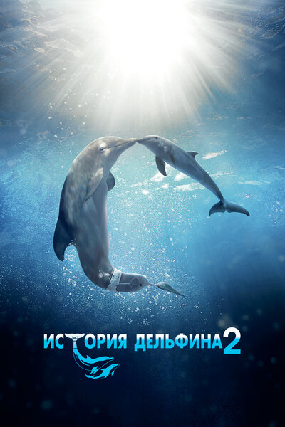 Постер «История дельфина 2» (2014)