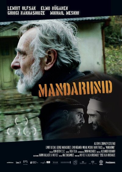 Постер «Мандарины» (2013)