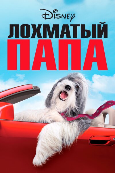 Постер «Лохматый папа» (2006)