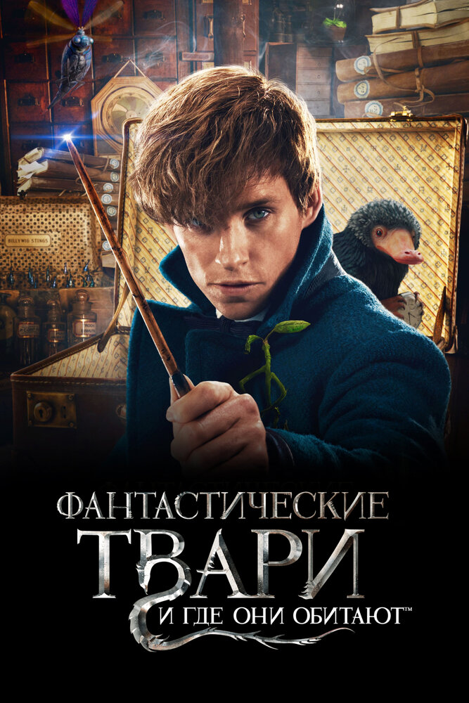 Постер: Фантастические твари и где они обитают (2016)